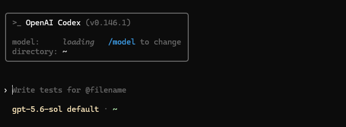 Codex CLI 启动后的界面