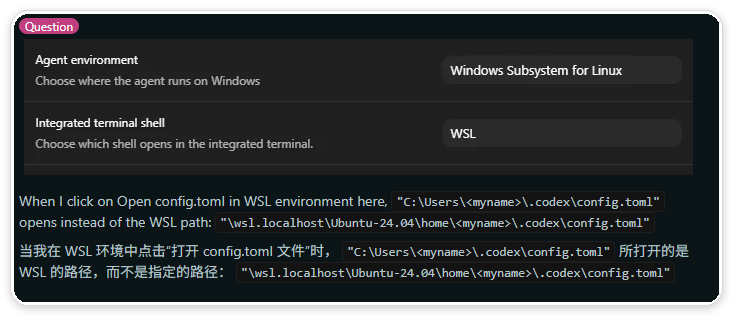 Windows 与 WSL 的配置路径混淆案例