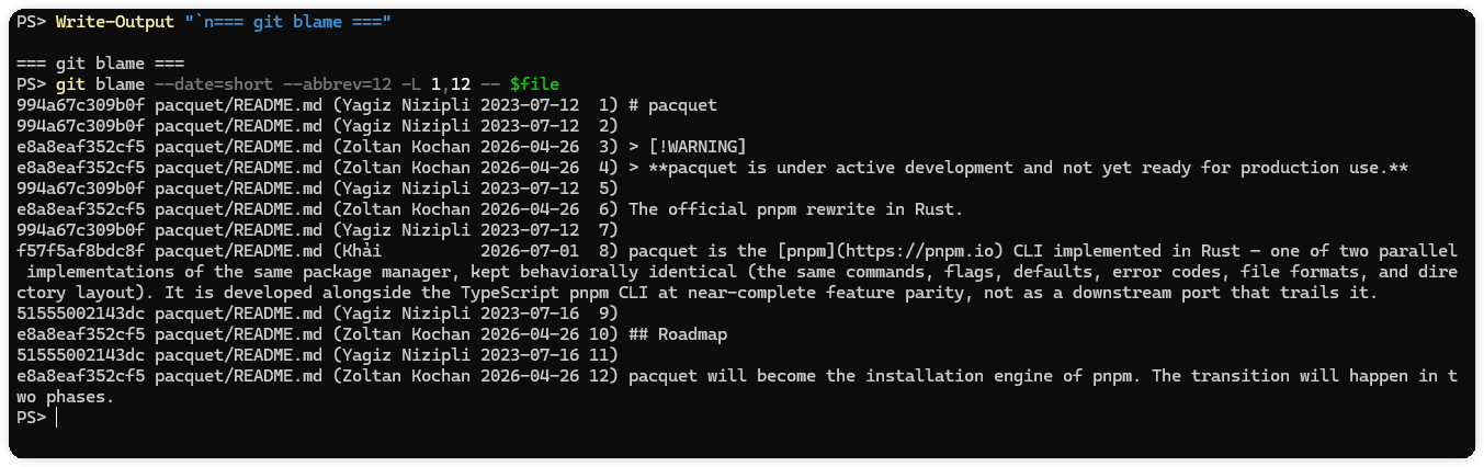 git blame 成功输出