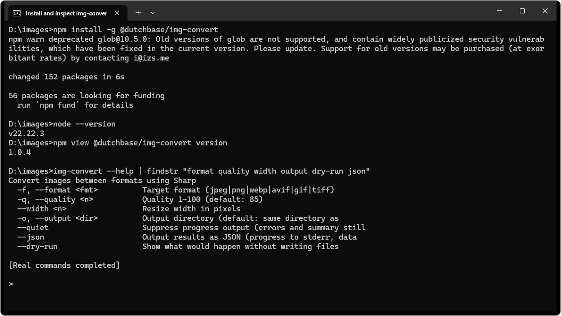CLI 安装结果和关键参数检查