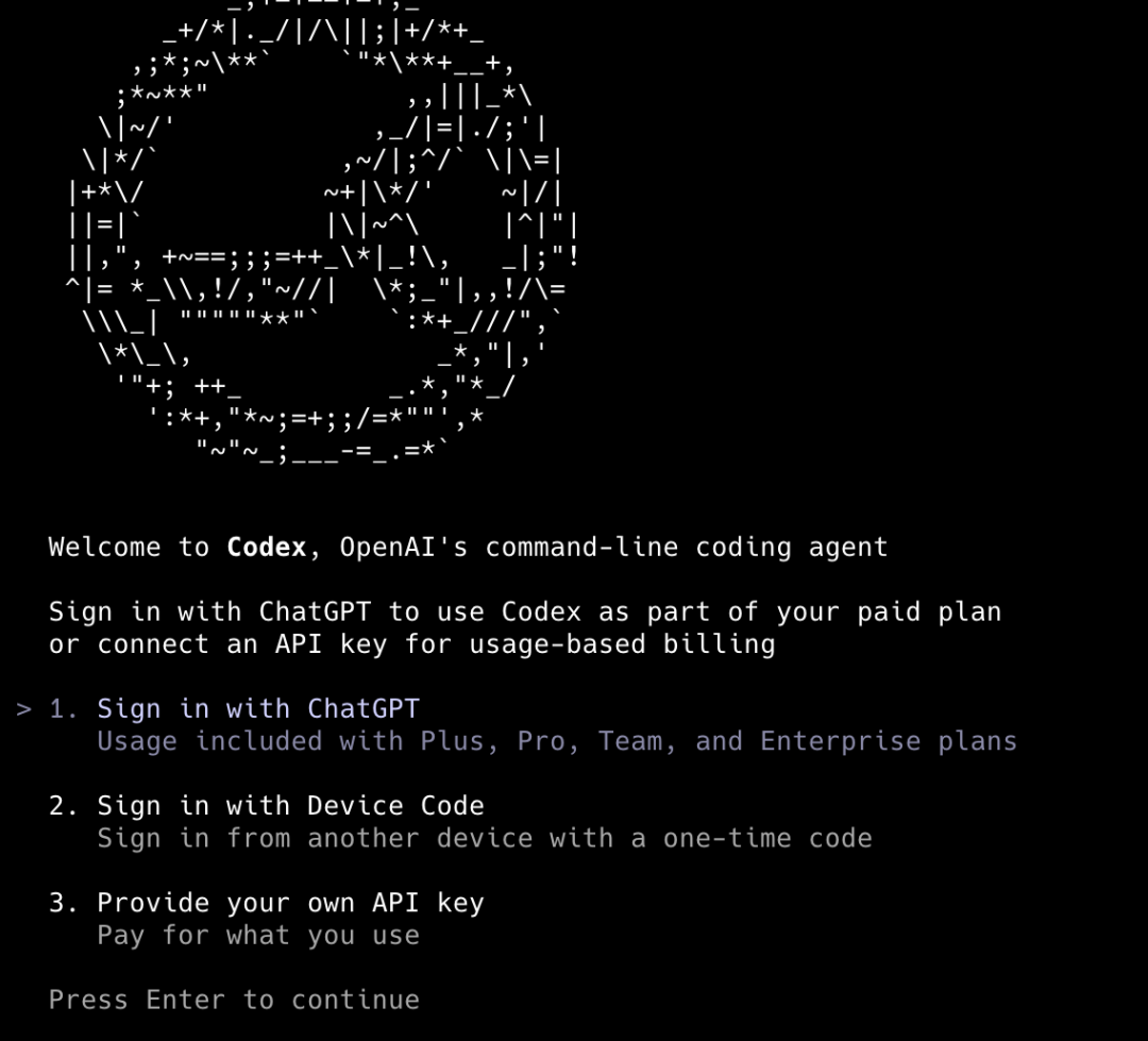 Codex CLI 命令行界面 9