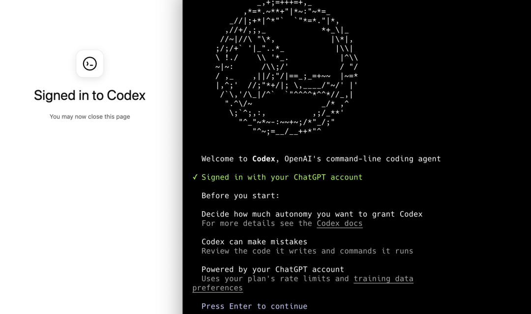 Codex CLI 命令行界面 12