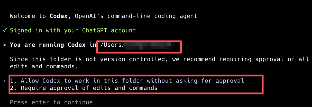 Codex CLI 命令行界面 13