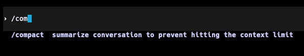 Codex CLI 命令行界面 19