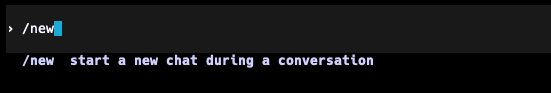 Codex CLI 命令行界面 21