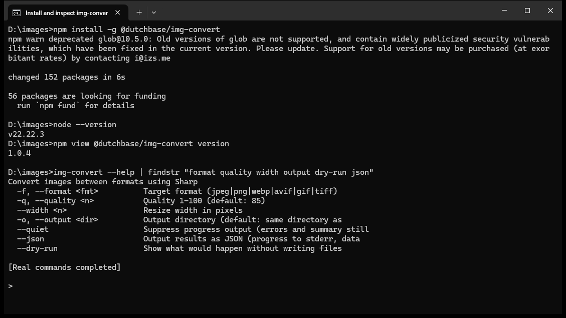 CLI 安装、Node 和关键参数检查
