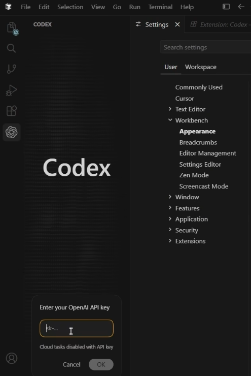 VS Code 中的 API Key 登录界面