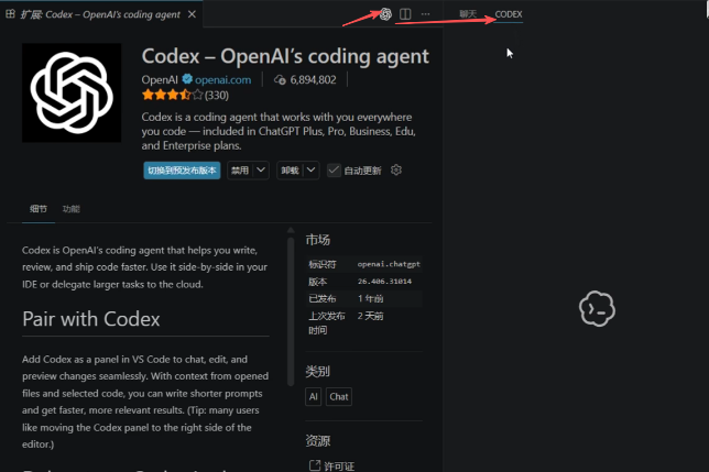 Codex 扩展详情页和安装后出现的入口